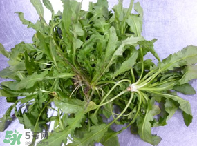 薺菜怎么保鮮？新鮮薺菜如何保鮮？