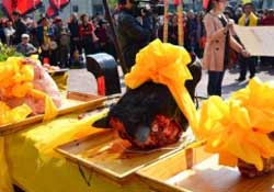 春分可以祭祀嗎？祭祀在春分前還是后？