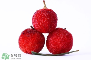 楊梅酒的做法 自制楊梅酒的做法 楊梅酒的做法 自制楊梅酒的做法