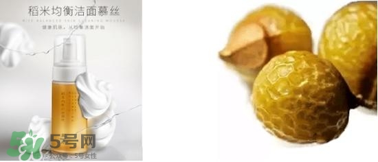 素野稻米潔面慕斯怎么用？素野稻米潔面慕斯使用方法