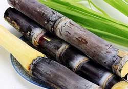 3月份能吃甘蔗嗎？三月份的甘蔗能吃嗎？