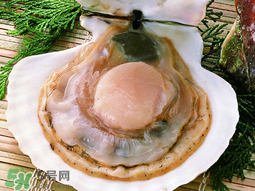 薺菜和扇貝可以一起吃嗎？薺菜扇貝湯的做法