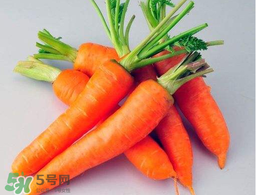 薺菜能和胡蘿卜一起吃嗎？薺菜可以和胡蘿卜一起吃嗎？