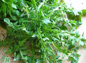 薺菜上有白點能吃嗎？薺菜背面有白點是什么？