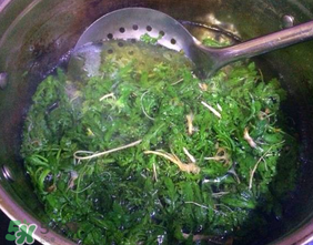 薺菜怎么焯水？薺菜焯水多久？