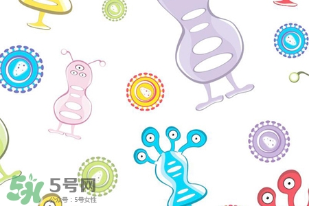 諾如病毒會(huì)發(fā)燒嗎？諾如病毒會(huì)引發(fā)高燒嗎？