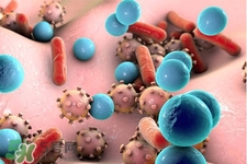 諾如病毒會(huì)發(fā)燒嗎？諾如病毒會(huì)引發(fā)高燒嗎？