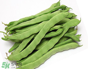 三月份可以種豆角嗎？豆角幾月份種？