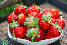 四月份還有草莓嗎？4月份還有草莓嗎？