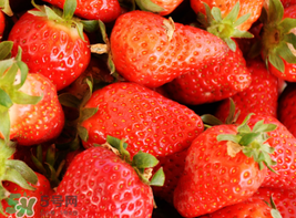 四月份還有草莓嗎？4月份還有草莓嗎？