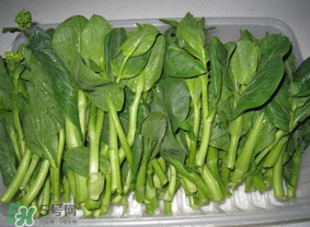 青菜苔可以吃嗎？青菜苔怎么做好吃？