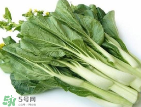 青菜苔可以吃嗎？青菜苔怎么做好吃？