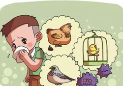 諾如病毒是禽流感嗎？春季重點(diǎn)預(yù)防禽流感和諾如病毒