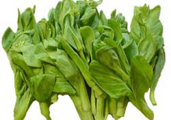 青菜苔可以吃嗎？青菜苔怎么做好吃？