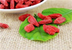 枸杞的作用與功效？吃枸杞有什么好處？