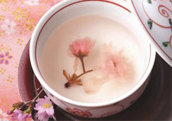 桃花酒孕婦可以喝嗎？懷孕了能喝桃花酒嗎？