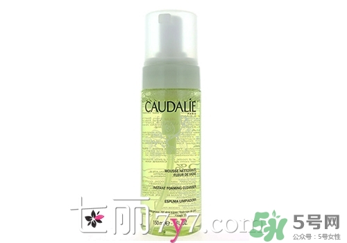 2017潔面泡沫哪個牌子好？2017潔面泡沫排行榜