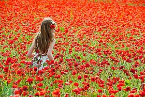 hfp煙酰胺原液多少錢?hfp煙酰胺原液價格 hfp煙酰胺原液多少錢?hfp煙酰胺原液價格