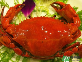 薺菜和螃蟹能一起吃嗎？薺菜螃蟹可以一起吃嗎？