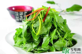 薺菜不能和什么一起吃？薺菜和什么相克？