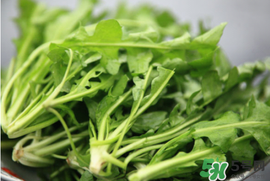 薺菜不能和什么一起吃？薺菜和什么相克？