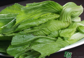 芥菜為什么苦？芥菜苦是怎么回事？