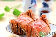 一年四季都能吃螃蟹嗎？一年四季都有吃螃蟹嗎？