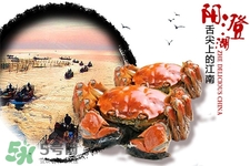 一年四季都有大閘蟹嗎？一年四季都可以吃大閘蟹嗎？