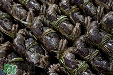 一年四季都有大閘蟹嗎？一年四季都可以吃大閘蟹嗎？