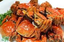 一年四季都有大閘蟹嗎？一年四季都可以吃大閘蟹嗎？