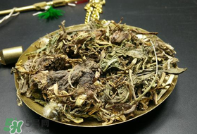 干的蒲公英多少錢一斤？蒲公英多少錢一斤干的？