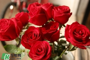 什么東西清火效果好？什么東西清火最快？