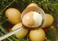 薺菜煮雞蛋孕婦能吃嗎？孕婦吃了薺菜煮雞蛋怎么辦？