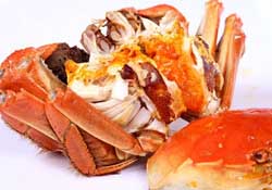 薺菜和螃蟹能一起吃嗎？薺菜螃蟹可以一起吃嗎？