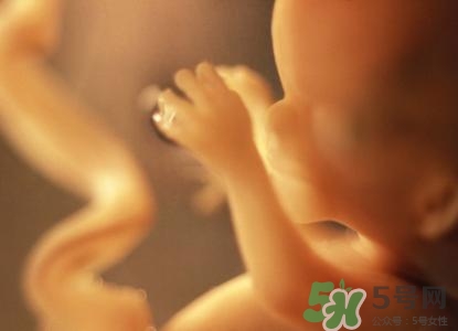 懷孕一個(gè)月可以同房嗎？懷孕一個(gè)月要注意什么