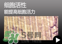 迪奧dior眼部修復精華露 迪奧dior眼部修復精華露價格