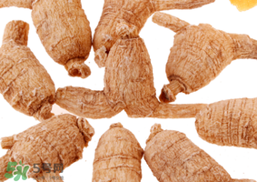 春天可以吃西洋參嗎？春天適合吃西洋參嗎？