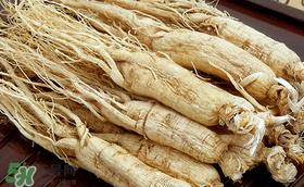 春天可以吃人參嗎？春季能進補人參嗎？