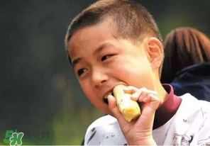 春天能吃甘蔗嗎？春天吃甘蔗有什么好處？