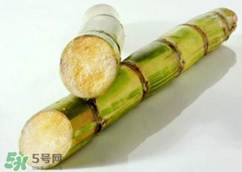 春天能吃甘蔗嗎？春天吃甘蔗有什么好處？