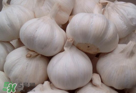 大蒜爛了一點還能吃嗎？大蒜爛根是怎么回事？