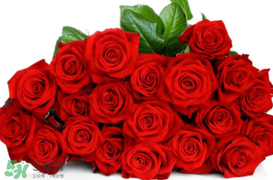 白色情人節(jié)是女生送男生禮物嗎？白色情人節(jié)是誰(shuí)送誰(shuí)？