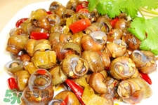 螺螄如何清洗？螺螄怎樣才能清洗最干凈？