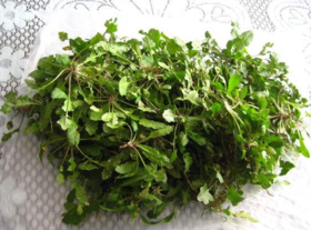 野生薺菜幾月份有？野生薺菜什么時候有？