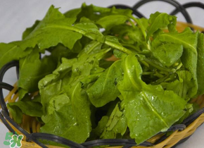 薺菜隔夜能吃嗎？隔夜的薺菜能吃嗎？