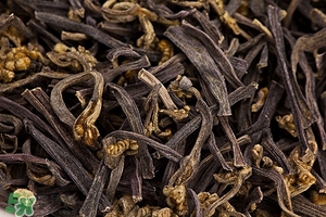 蕨菜致癌嗎 蕨菜致癌是真的 蕨菜致癌嗎 蕨菜致癌是真的