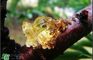 吃什么對皮膚好？怎么吃皮膚好？