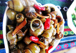 螺螄有寄生蟲嗎？螺螄有寄生蟲能吃嗎？