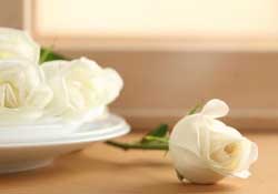 白色情人節(jié)送什么花？白色情人節(jié)送白玫瑰合適嗎？