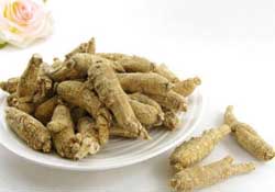 春天可以吃西洋參嗎？春天適合吃西洋參嗎？